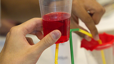 西澳大利亚地球科学（ESWA）