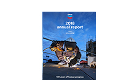 2018年年度报告
