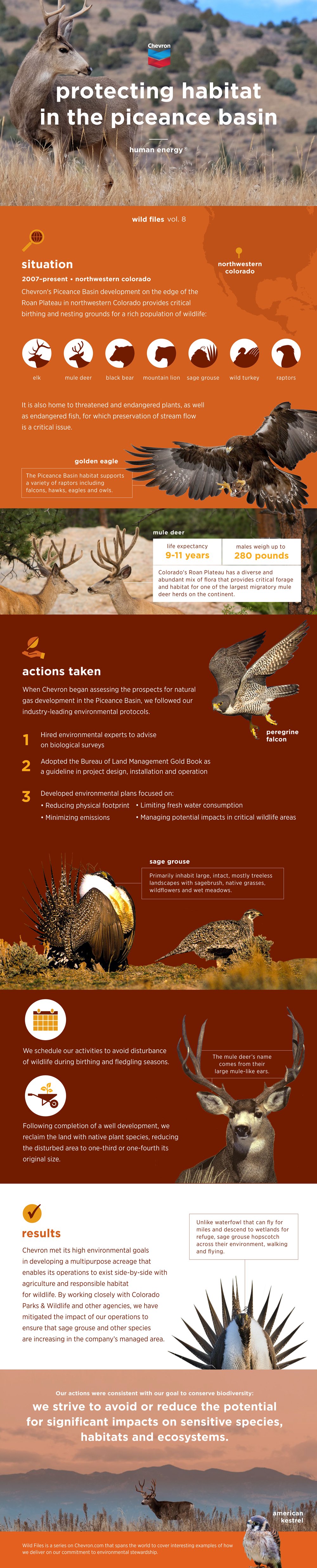 野生档案：在减少生态足迹、保护农田和濒危动植物的同时，发展Piceance流域作业。