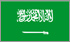 沙特阿拉伯